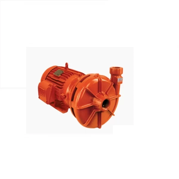 xx_o_bomba-centrifuga-schneider-bpi-22-r-2-12-20cv-1f540q58g1gai1iu3svc117ek98a.webp